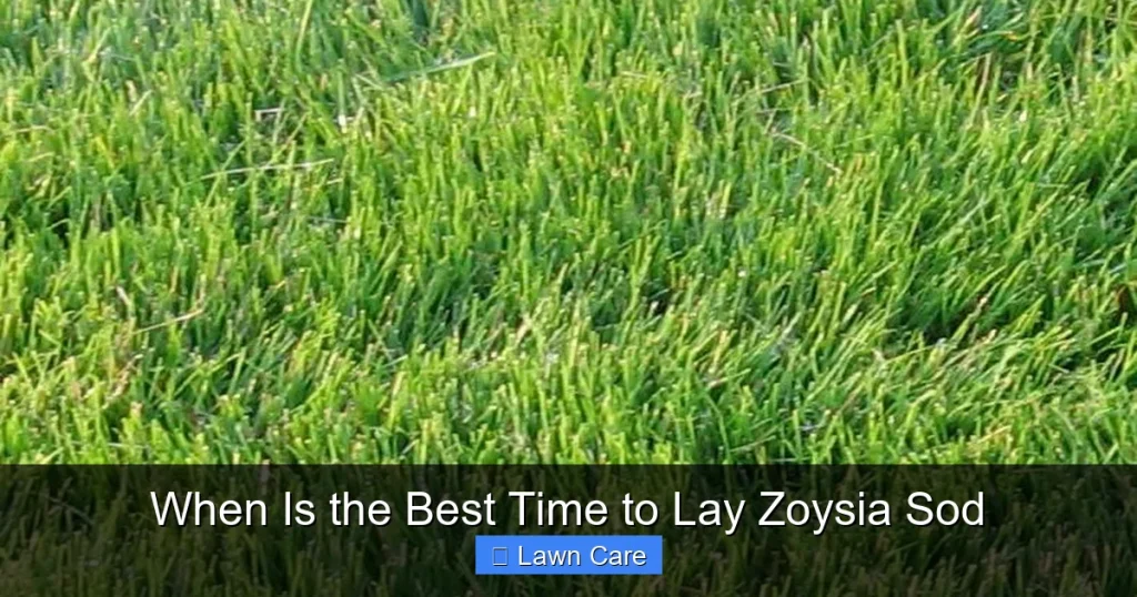 When Is the Best Time to Lay Zoysia Sod