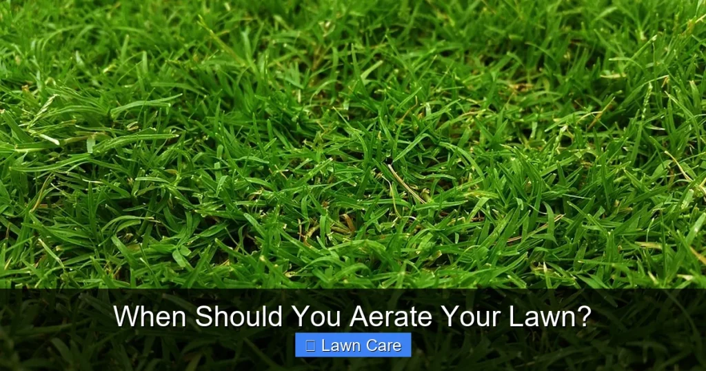 When Should You Aerate Your Lawn?