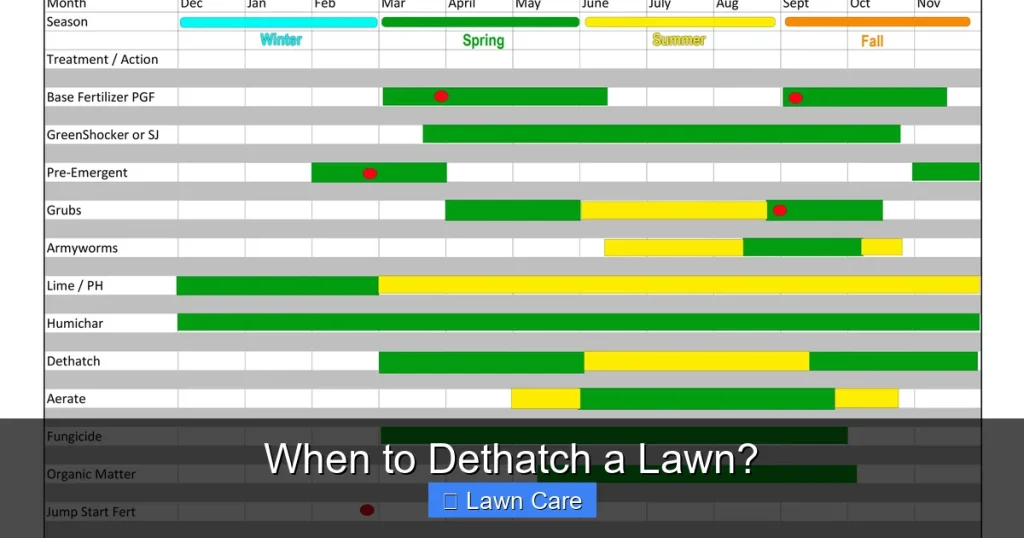 When to Dethatch a Lawn?
