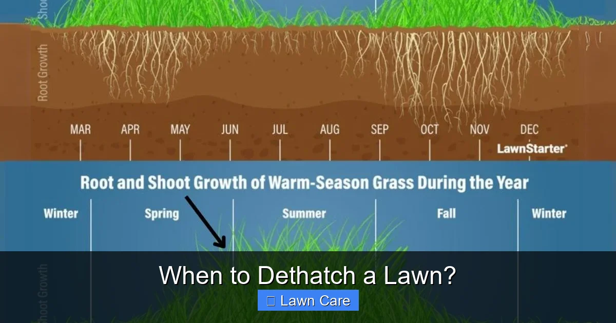 When to Dethatch a Lawn?