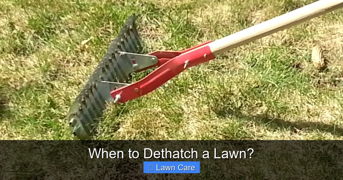 When to Dethatch a Lawn?