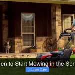 When to Start Mowing in the Spring