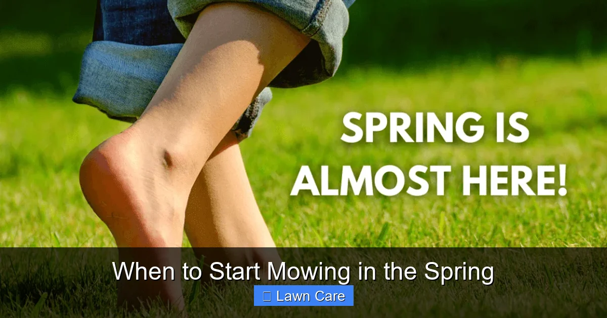 When to Start Mowing in the Spring