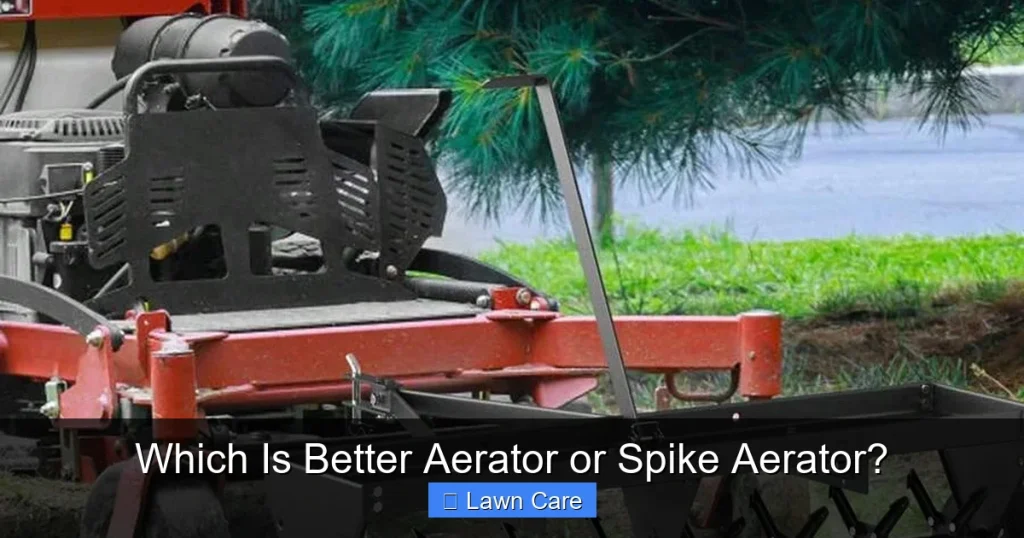 Which Is Better Aerator or Spike Aerator?