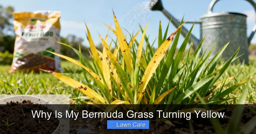 Why Is My Bermuda Grass Turning Yellow