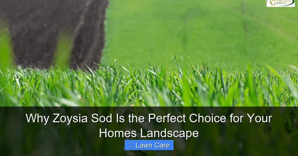 Why Zoysia Sod Is the Perfect Choice for Your Homes Landscape