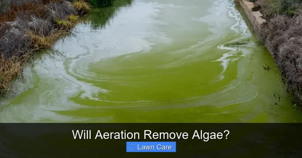 Will Aeration Remove Algae?