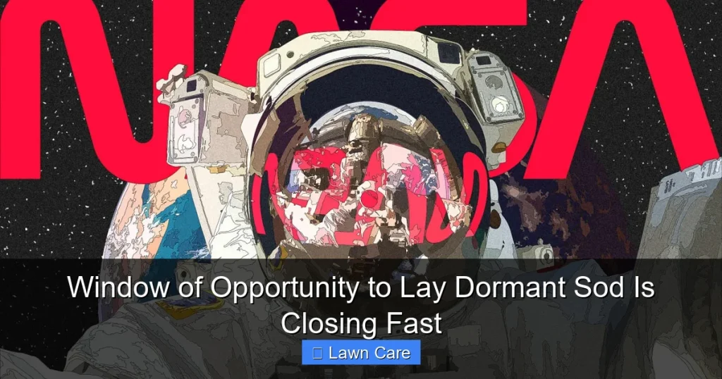 Window of Opportunity to Lay Dormant Sod Is Closing Fast