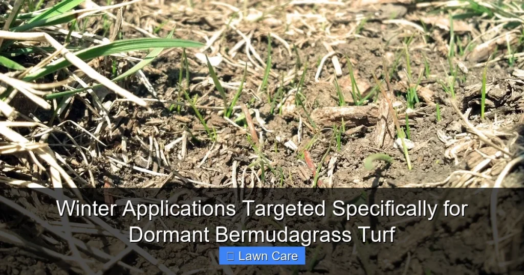Winter Applications Targeted Specifically for Dormant Bermudagrass Turf
