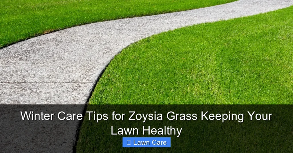 Winter Care Tips for Zoysia Grass Keeping Your Lawn Healthy