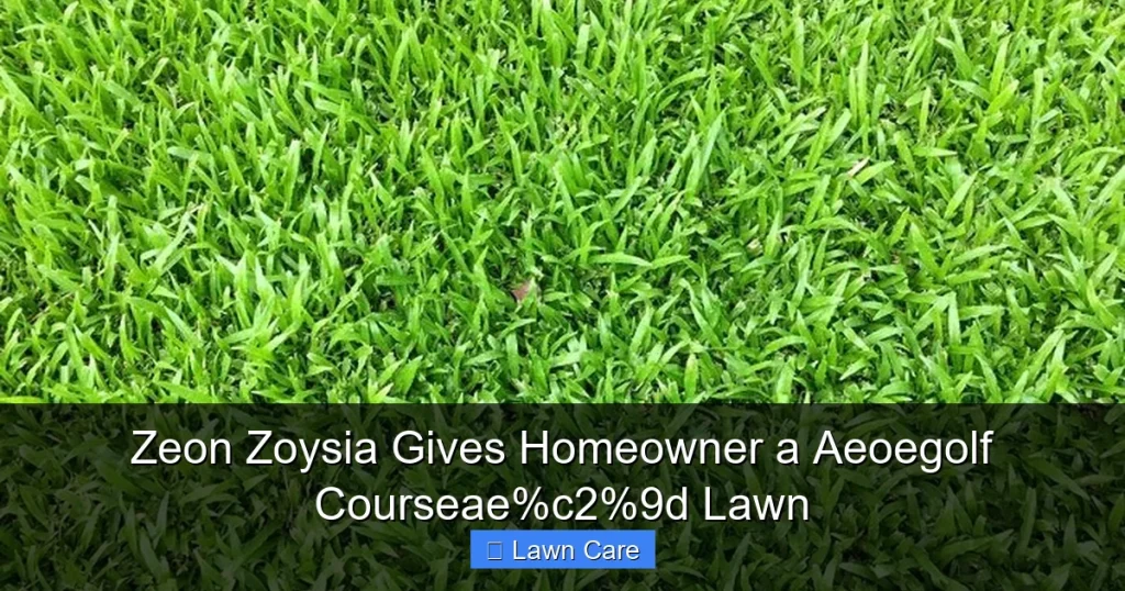 Zeon Zoysia Gives Homeowner a Aeoegolf Courseae Lawn