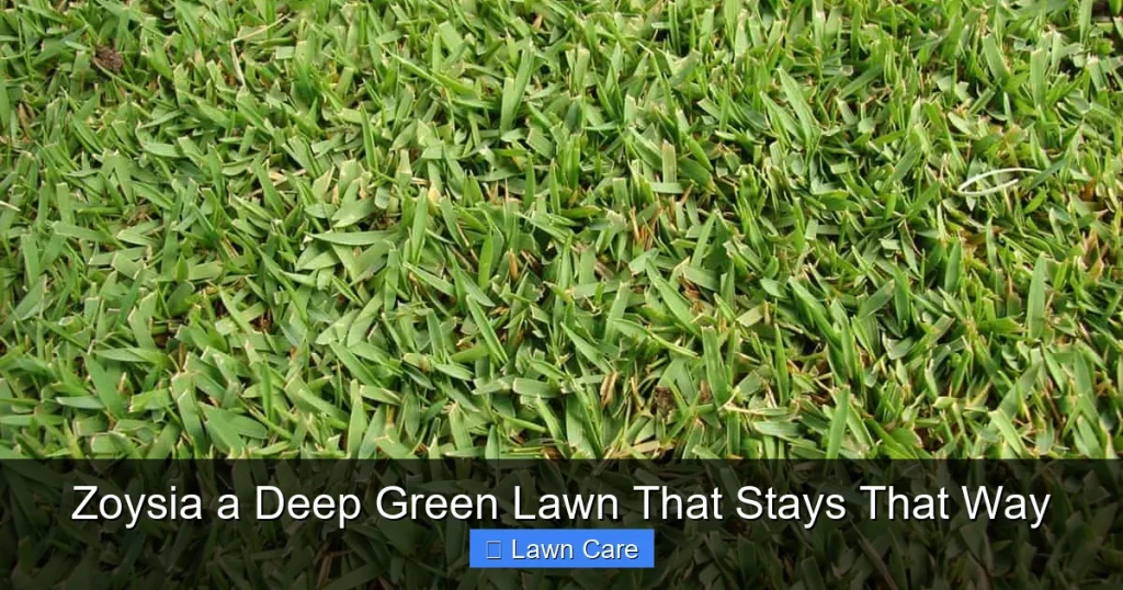 Zoysia a Deep Green Lawn That Stays That Way