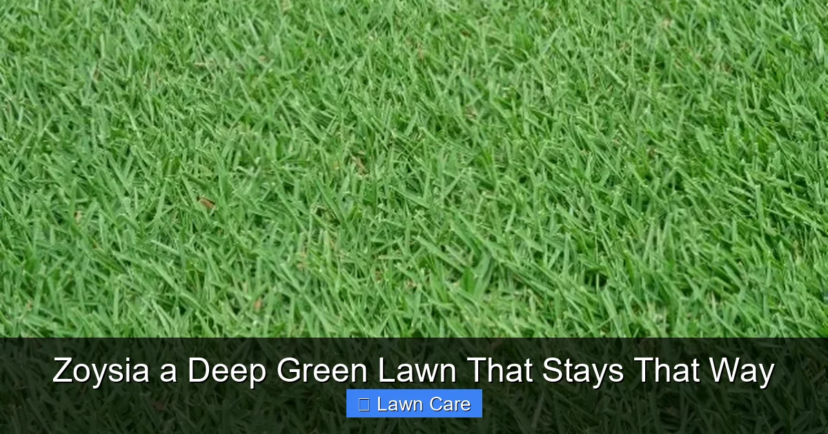 Zoysia a Deep Green Lawn That Stays That Way