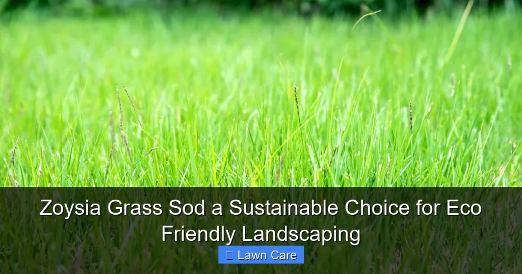 Zoysia Grass Sod a Sustainable Choice for Eco Friendly Landscaping