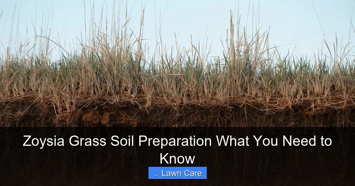 Zoysia Grass Soil Preparation What You Need to Know
