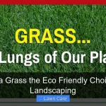 Zoysia Grass the Eco Friendly Choice for Landscaping