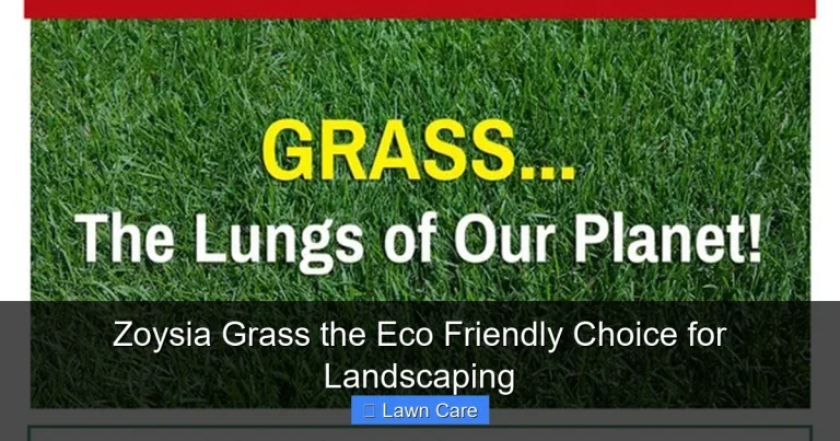 Zoysia Grass the Eco Friendly Choice for Landscaping