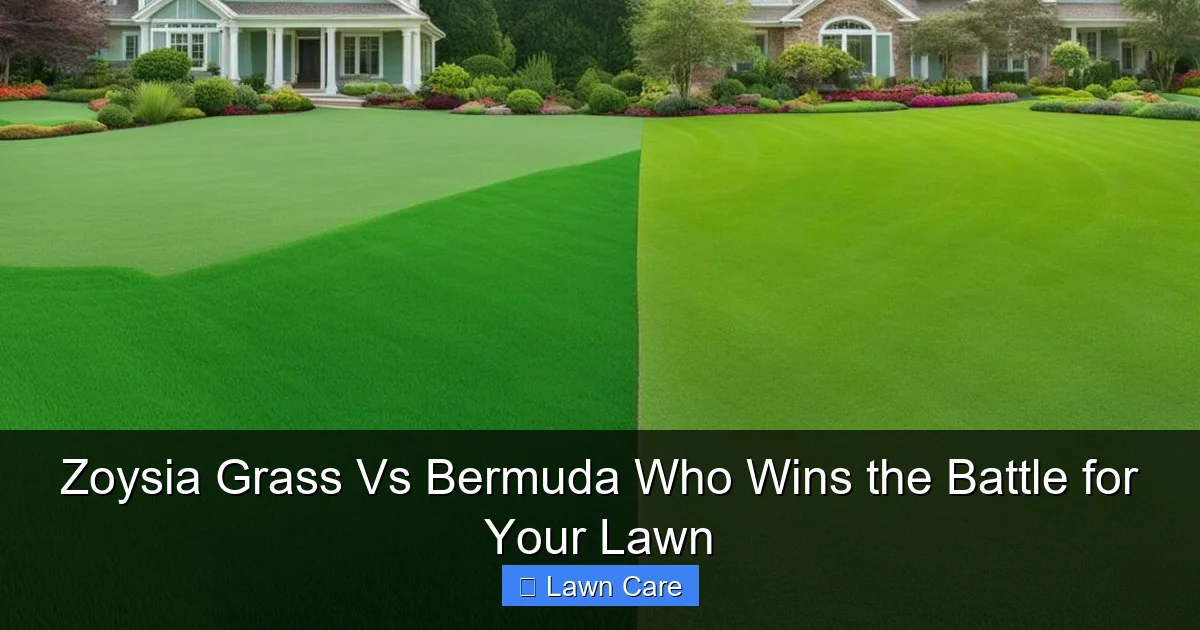 Zoysia Grass Vs Bermuda Who Wins the Battle for Your Lawn