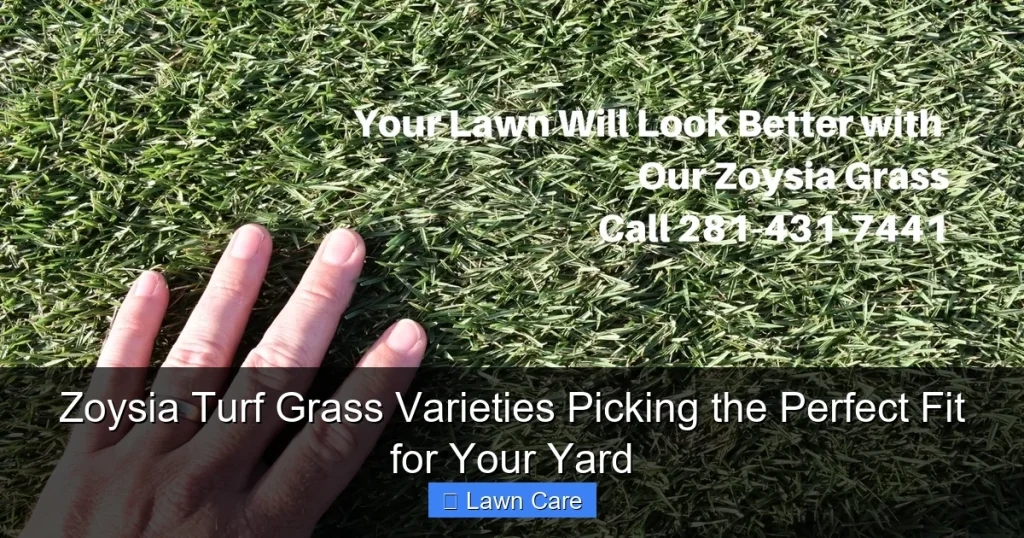 Zoysia Turf Grass Varieties Picking the Perfect Fit for Your Yard