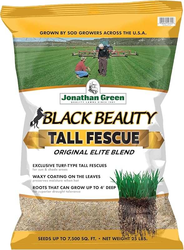 Jonathan Green Black Beauty Original Grass Seed Blend for Cool Season 