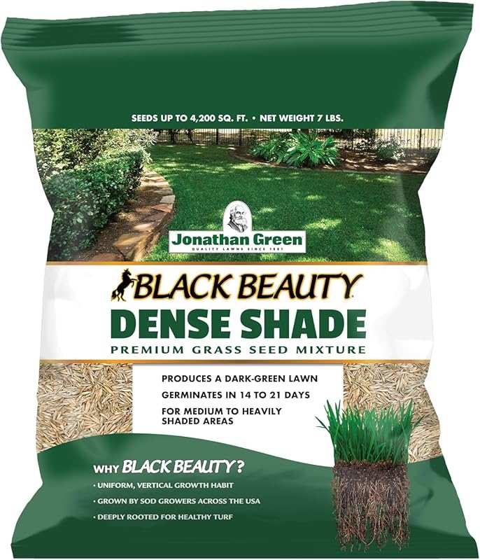 Jonathan Green Black Beauty Dense Shade Grass Seed for Thriving Cool S