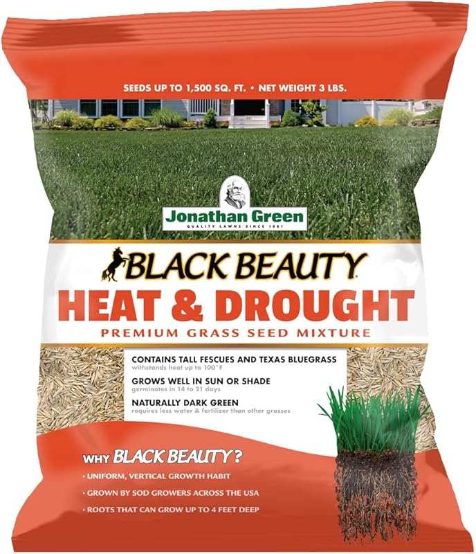 Jonathan Green Black Beauty Heat & Drought Resistant Grass Seed: Cool 