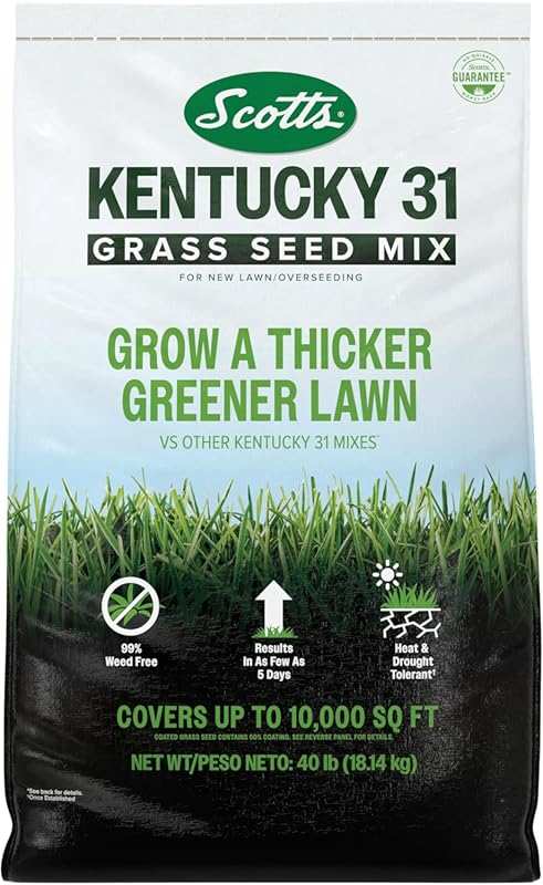 Scotts Kentucky 31 Grass Seed Mix: Premium Lawn Seed, Covers 10,000 sq