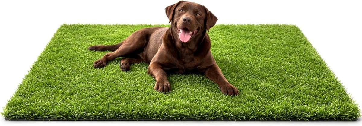 Realistic Artificial Dog Grass Rug 47.2x31.5in: Fast Drainage for Pott