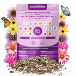 200 000+ Wildflower Seeds [4oz] 16