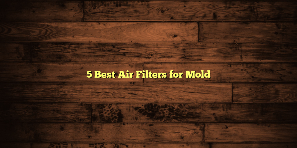 5 Best Air Filters for Mold