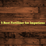 5 Best Fertilizer for Impatiens