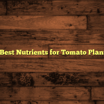 5 Best Nutrients for Tomato Plants
