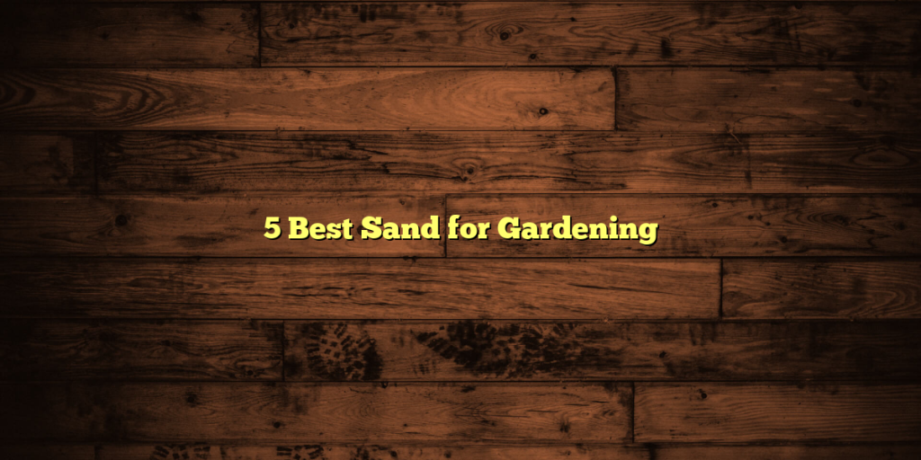 5 Best Sand for Gardening