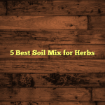 5 Best Soil Mix for Herbs
