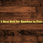 5 Best Soil for Bamboo in Pots