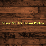 5 Best Soil for Indoor Pothos