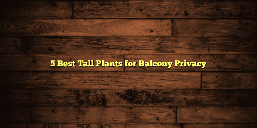 5 Best Tall Plants for Balcony Privacy