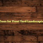 5 Best Trees for Front Yard Landscaping 2026