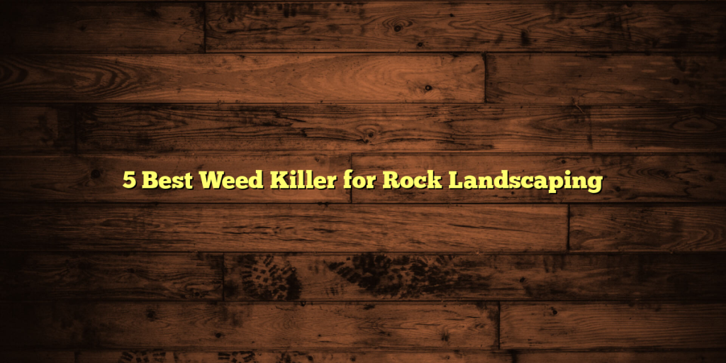 5 Best Weed Killer for Rock Landscaping
