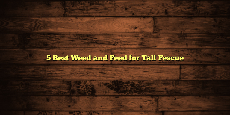 5 Best Weed and Feed for Tall Fescue