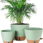 8/10/12 Inch Self Watering Pots Indoor/Outdoor
