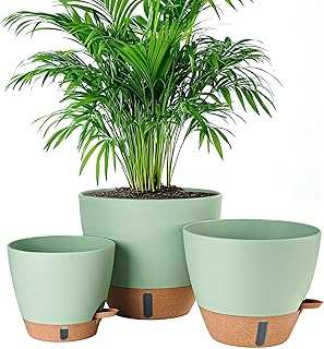 8/10/12 Inch Self Watering Pots Indoor/Outdoor