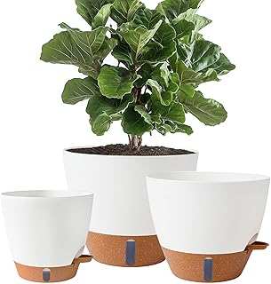 8/10/12 Inch Self Watering Pots Indoor/Outdoor