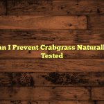 Guide to Can I Prevent Crabgrass Naturally?: Tried & Tested