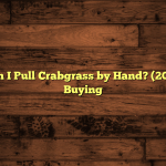 Guide to Can I Pull Crabgrass by Hand? (2026) — Worth Buying