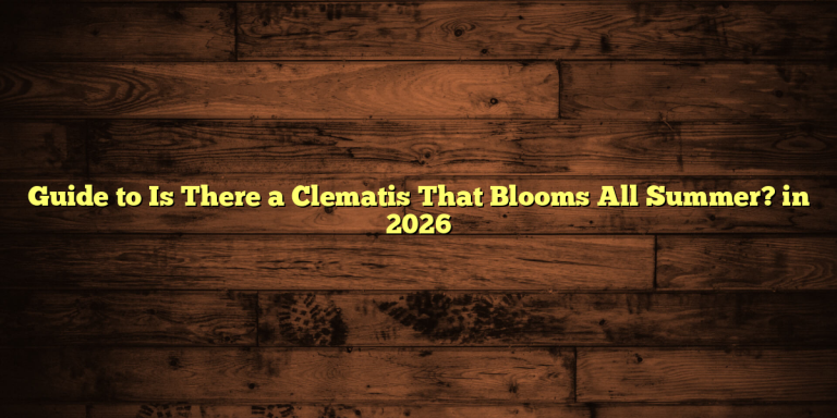 Guide to Is There a Clematis That Blooms All Summer? in 2026