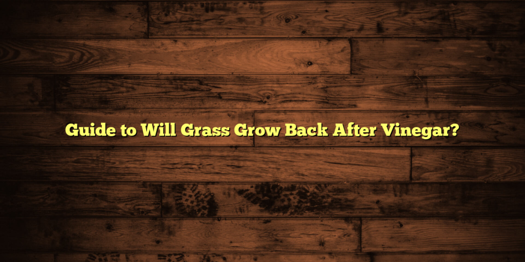 Guide to Will Grass Grow Back After Vinegar?
