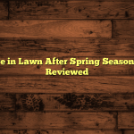 How to Care in Lawn After Spring Seasons: Tested & Reviewed