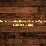 How to Make Bermuda Grass Green Again? (2026) — Honest Picks