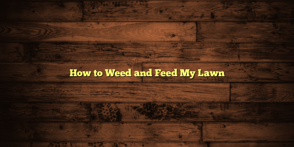 How to Weed and Feed My Lawn